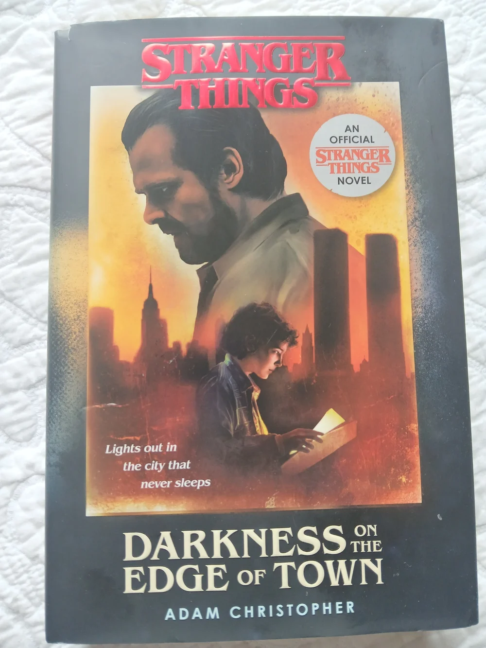 🚲Stranger Things Hardcover Books🖤